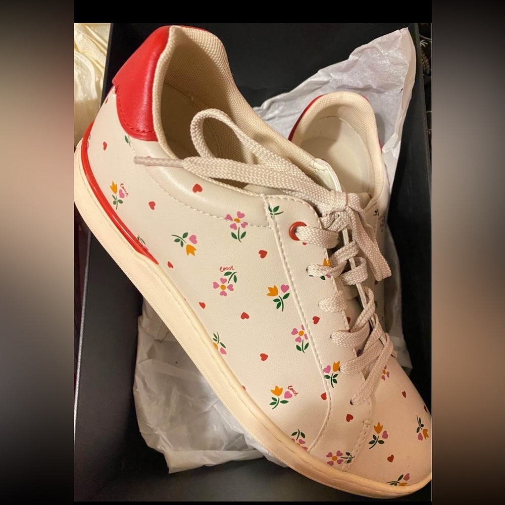 Coach valentines collection